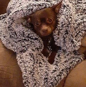 Meet your Posher, Amy